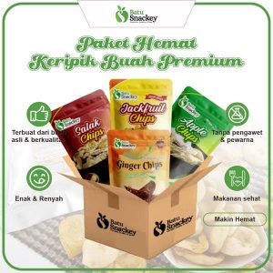 paket keripik buah premium